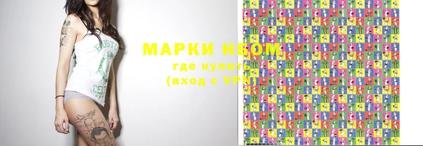 стафф Бородино