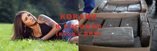 стафф Бородино