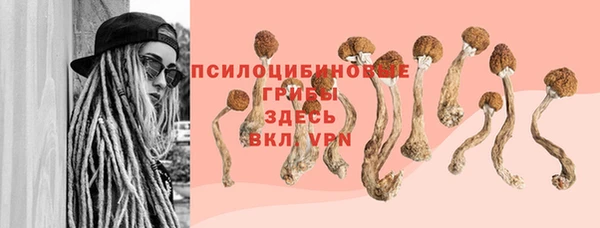 стафф Бородино