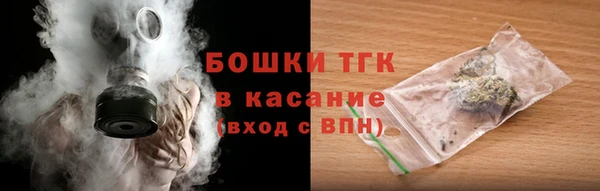 стафф Бородино
