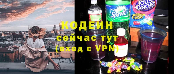 стафф Бородино