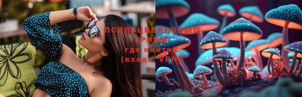 стафф Бородино